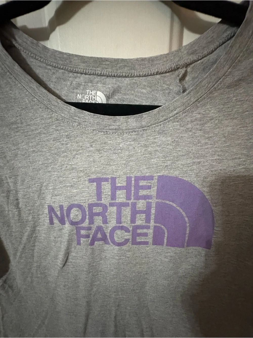 The North Face Gray Short Sleeve Tee with Purple Logo - Picture 2 of 6